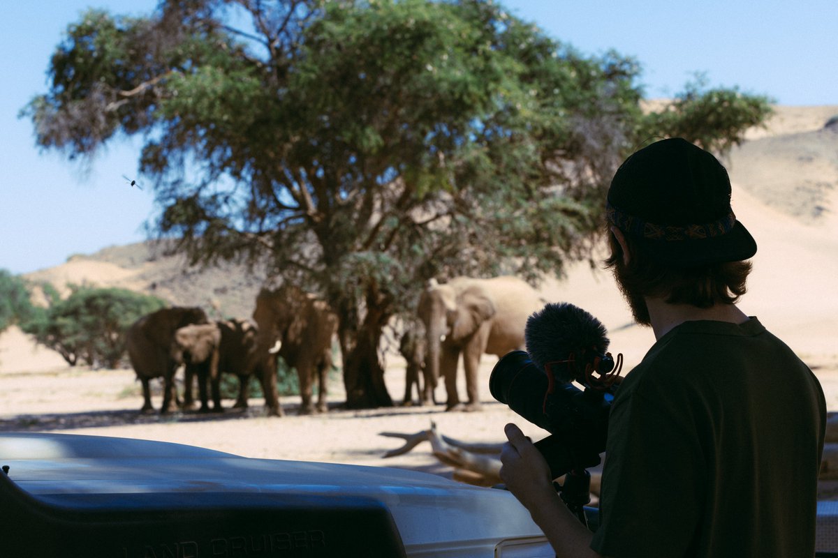 Cyril_mp4's tweet image. 🍿J-2 pour voir ça au cinéma avec moi !
Comment on s’est retrouvés nez à nez avec des éléphants du désert sauvages, encerclés… Il m’arrive toujours des dingueries 😭Une aventure unique 🙌
Réserve ton billet ici : cutt.ly/eV6x7Rp
Photos de @Charles_Schiele 📸