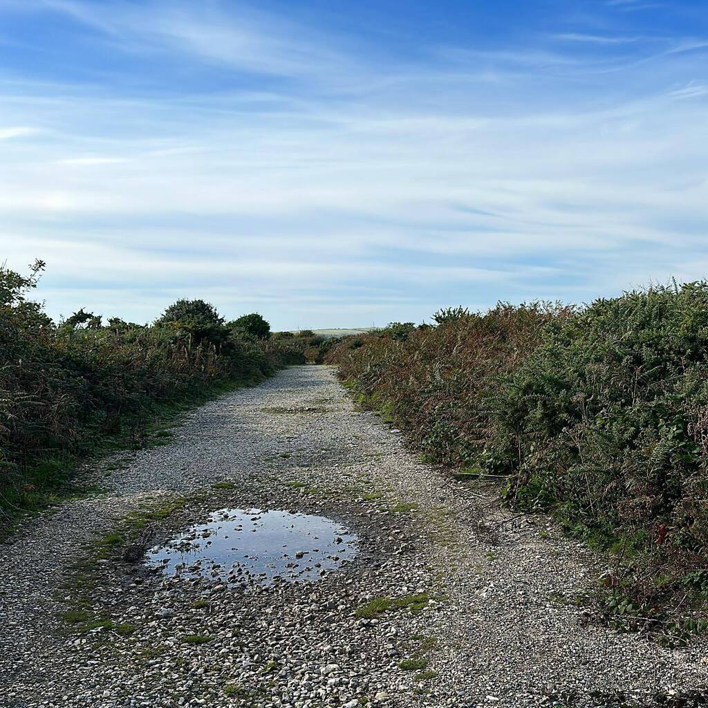 mjnewham's tweet photo. Afternoon walkies, but where? https://t.co/Pmr3UBLaFJ https://t.co/JoP7BVoD6k