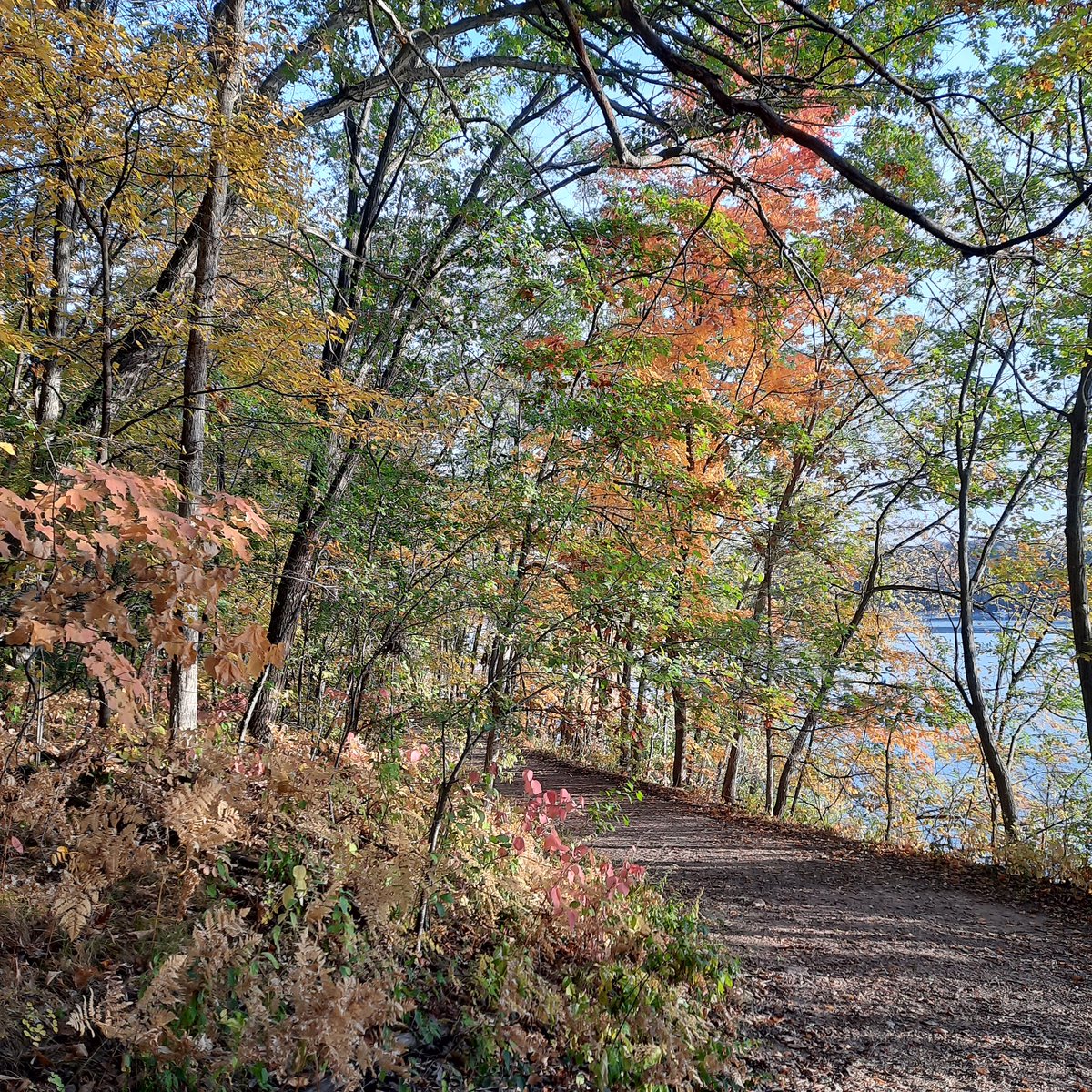 What a BEAUTIFUL Sunday morning.  How many miles to start my week?  😁  13 😊  I believe there will be plenty of smiles and laughter this week.  Help me make it happen. #runner #Sundayrunday #sunriserun