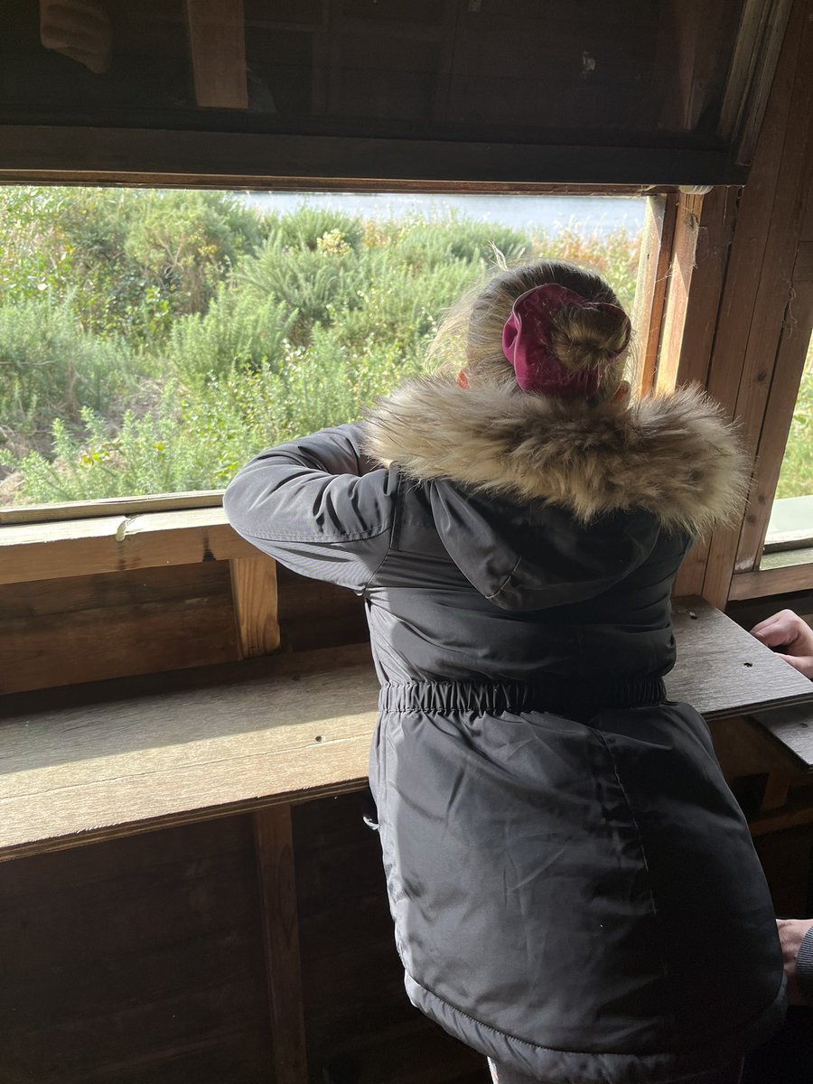 hodgson_adele's tweet photo. Nature walk and bird watching! 🦆🐦@AshbridgeOutdo1 @ashbridgeschool https://t.co/11tMNsARU0