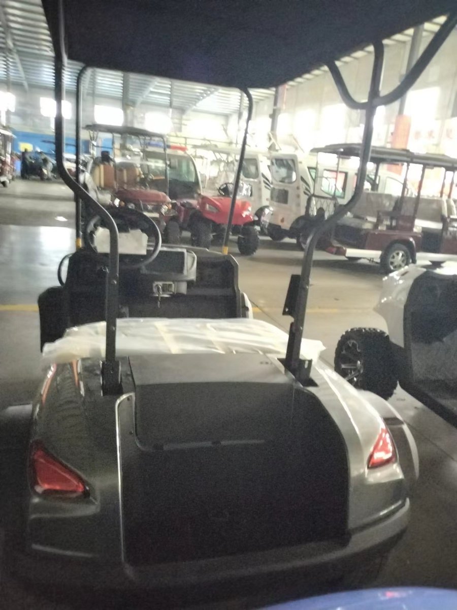 We Guobin new energy vehicle Technology Co., Ltd. launched A series of new electric golf cart class C, color can be optional. Welcome to order from overseas. Business cooperation, please direct private message or email to jw8760906@gamil.com