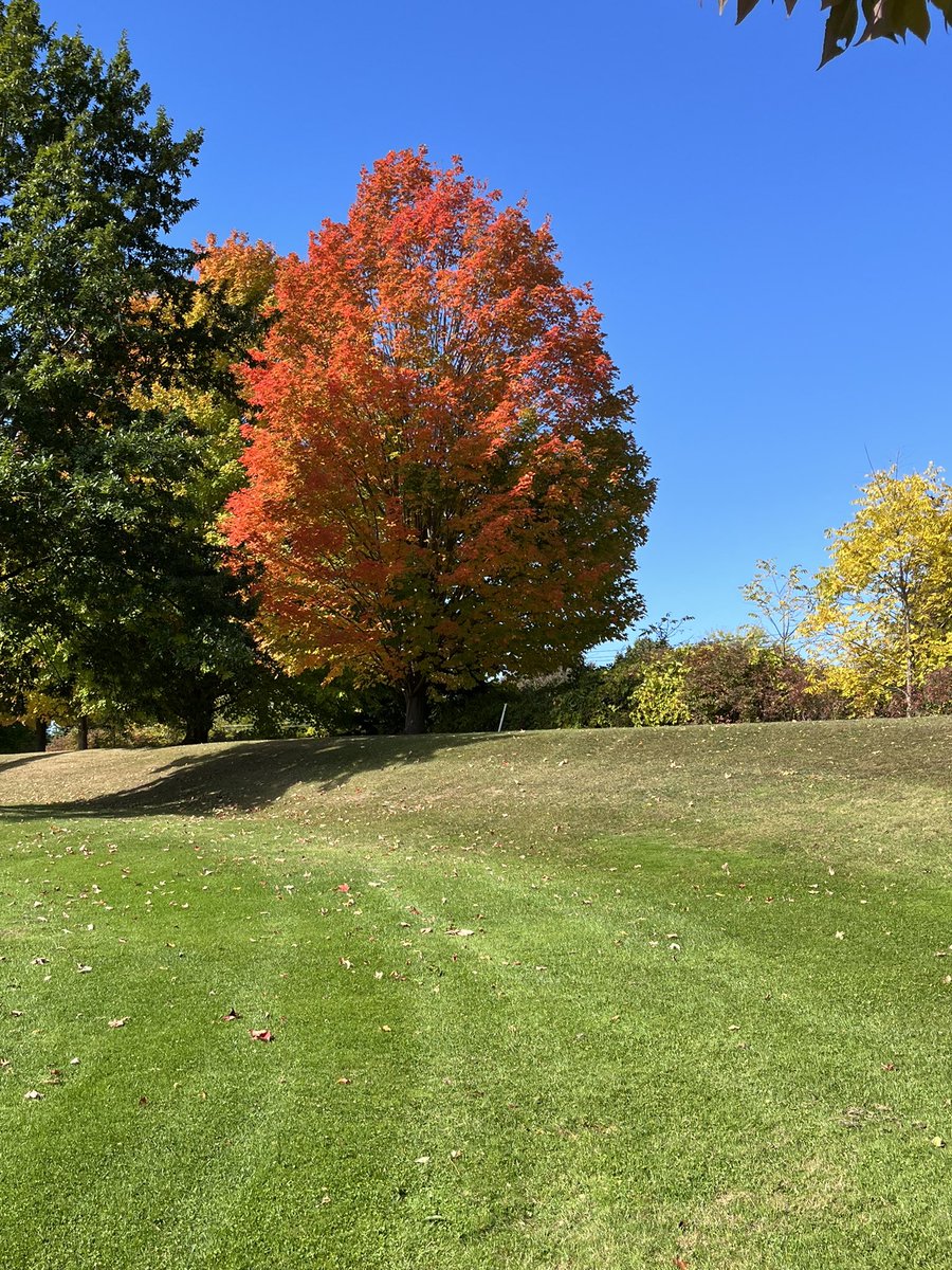 Kyle Stevener tweet media