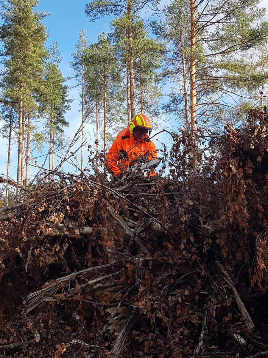 HelenaReiman's tweet photo. Tämän päivän #klapi hommissa työn #tuottavuus ei ollut huipussaan. Mutta tulipahan liikuttua, eroteltua poltoonkelpaava puu hakkutädekasasta ja talkoiltua kaveriporukassa. Ja kelihän oli mitä mainioin. Ja kaffet tykötarpeineen. https://t.co/x9mlfNmFIM