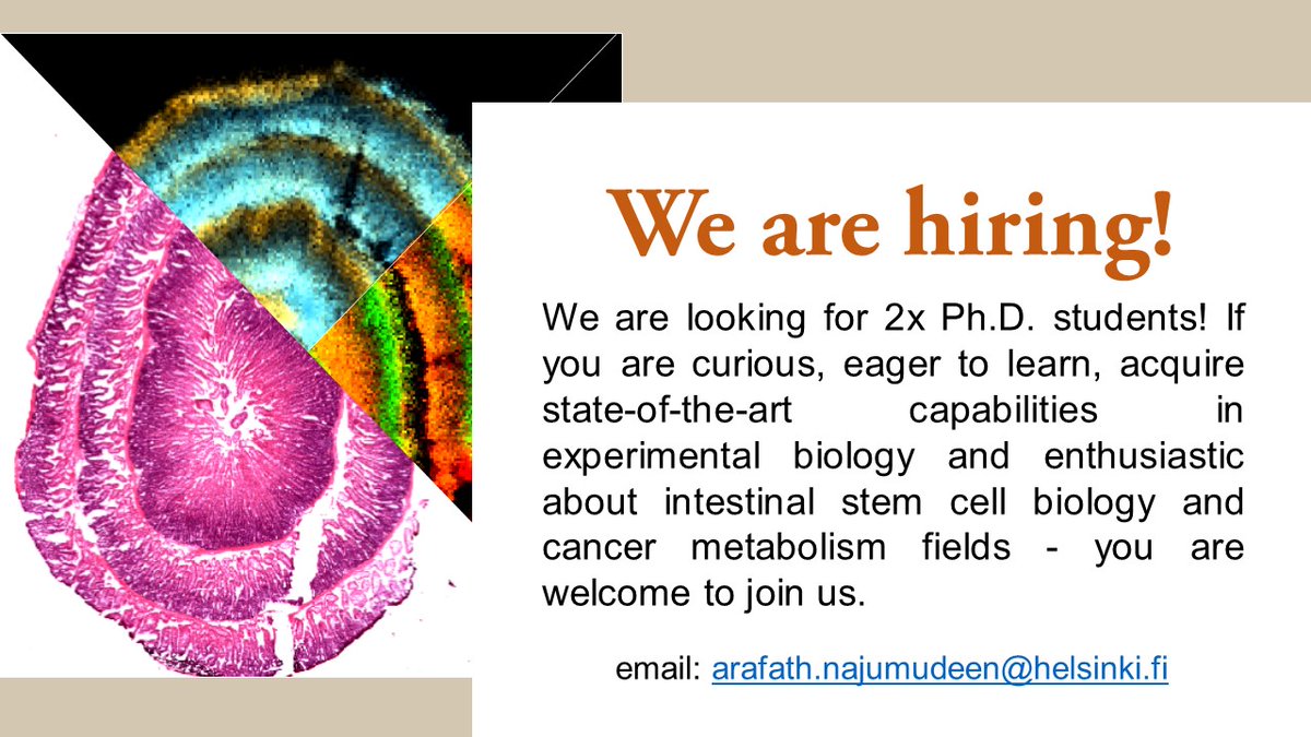 Arafath (Rafa) Najumudeen (@rafabolism) on Twitter photo 🚨JOB ALERT🚨: 2xPhD positions open for enthusiasts of stem cells & cancer metabolism in my #newlab at the University of Helsinki <a href="/helsinkiuni/">University of Helsinki</a> in the world's happiest country, Finland 🇫🇮. Check out <a href="/BIOTECH_UH/">Institute of Biotechnology (BI)</a> <a href="/HiLIFE_helsinki/">HiLIFE_Helsinki</a>. Send an email/DM. Please RT🙂 #newPI 🚨JOB ALERT🚨: 2xPhD positions open for enthusiasts of stem cells & cancer metabolism in my #newlab at the University of Helsinki <a href="/helsinkiuni/">University of Helsinki</a> in the world's happiest country, Finland 🇫🇮. Check out <a href="/BIOTECH_UH/">Institute of Biotechnology (BI)</a> <a href="/HiLIFE_helsinki/">HiLIFE_Helsinki</a>. Send an email/DM. Please RT🙂 #newPI