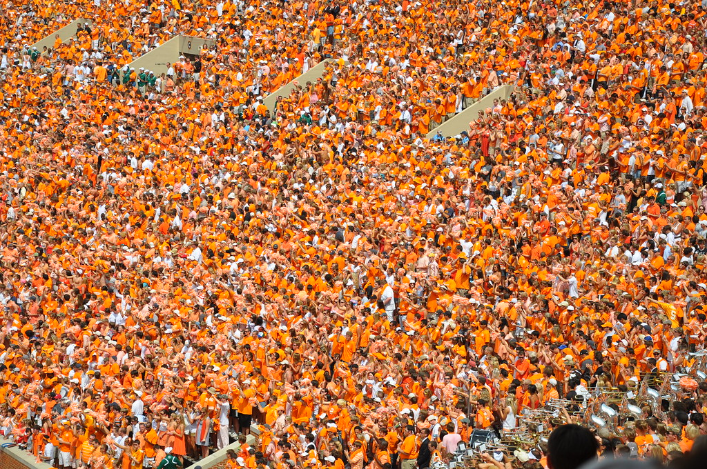 Joseph Bray tweet media