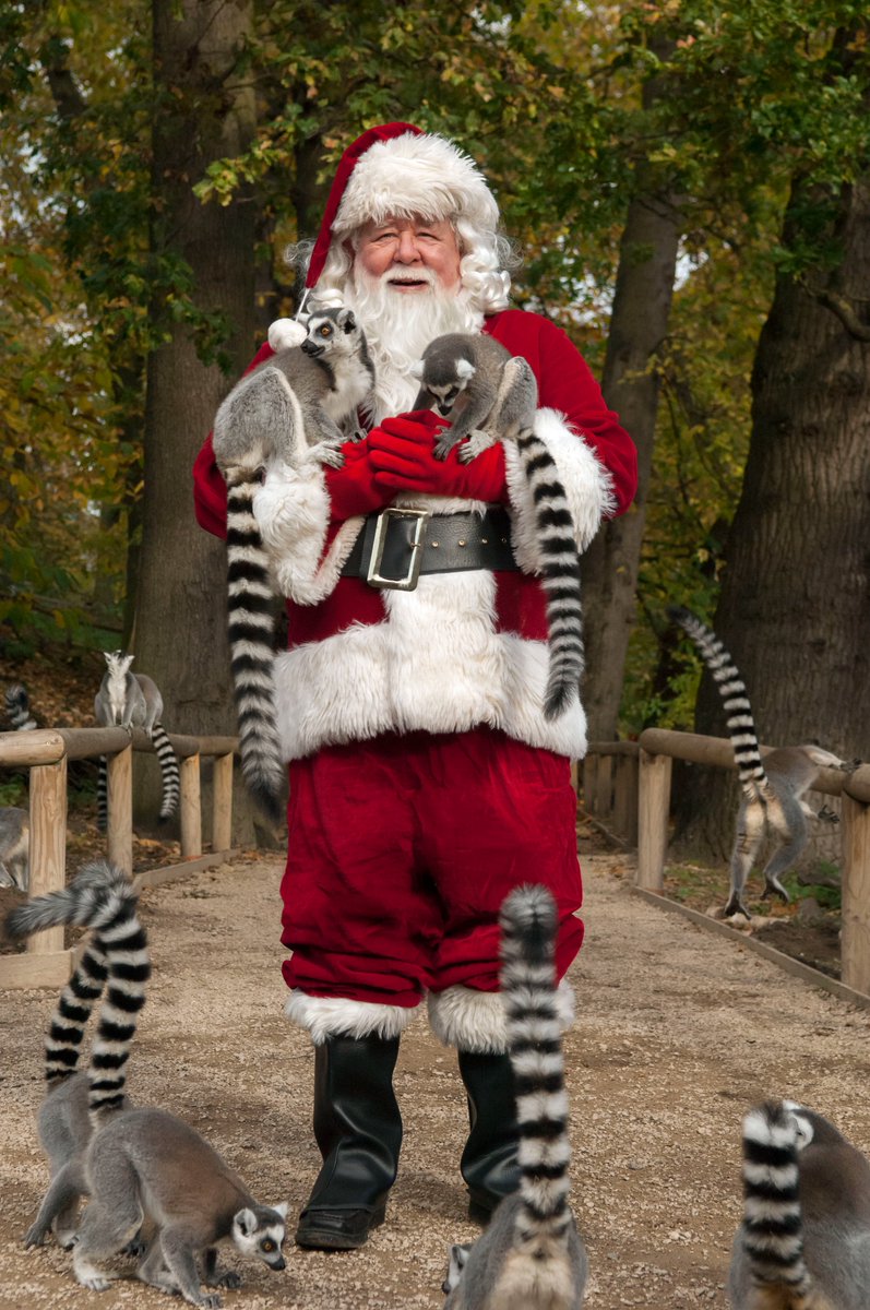 visit_bham's tweet photo. Tickets are now on sale for the Santa Safari at @WestMidSafari ๐
From 25th Nov โ 24th Dec visit the Park for a magical festive day, combining a four-mile winter Safari, a visit to Santa in his Grotto and snowy Winter Wonderland!
Book now: https://t.co/LuhaBOJEzg
#makeitwm https://t.co/yD57lti5Up