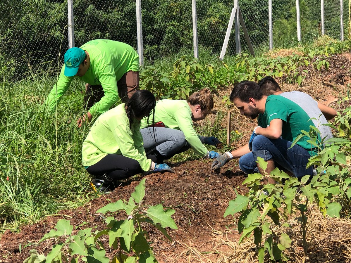 salesforcejobs's tweet photo. To Beatriz Santos, Solution Consultant and President of #Earthforce Brazil, an ERG dedicated to environmental responsibility, giving back is rewarding 💙🌎 
Learn more about how she helps customers achieve success and saves the planet: https://t.co/4KJrGCoO75 https://t.co/nk0DomKAs8