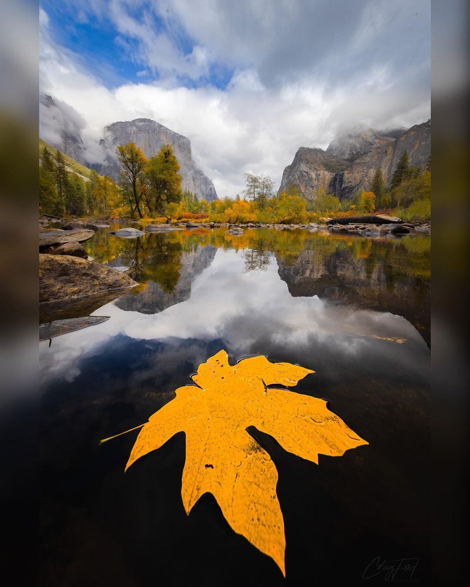 yosemitenation's tweet image. It's coming... countdown to fall colors in Yosemite! 

Great capture by Instagram user @flightlevelfoto

📰 | ow.ly/K9Hr50L3IzX (Yosemite special offers)

#YosemiteNation @VisitCA @cahighsierra