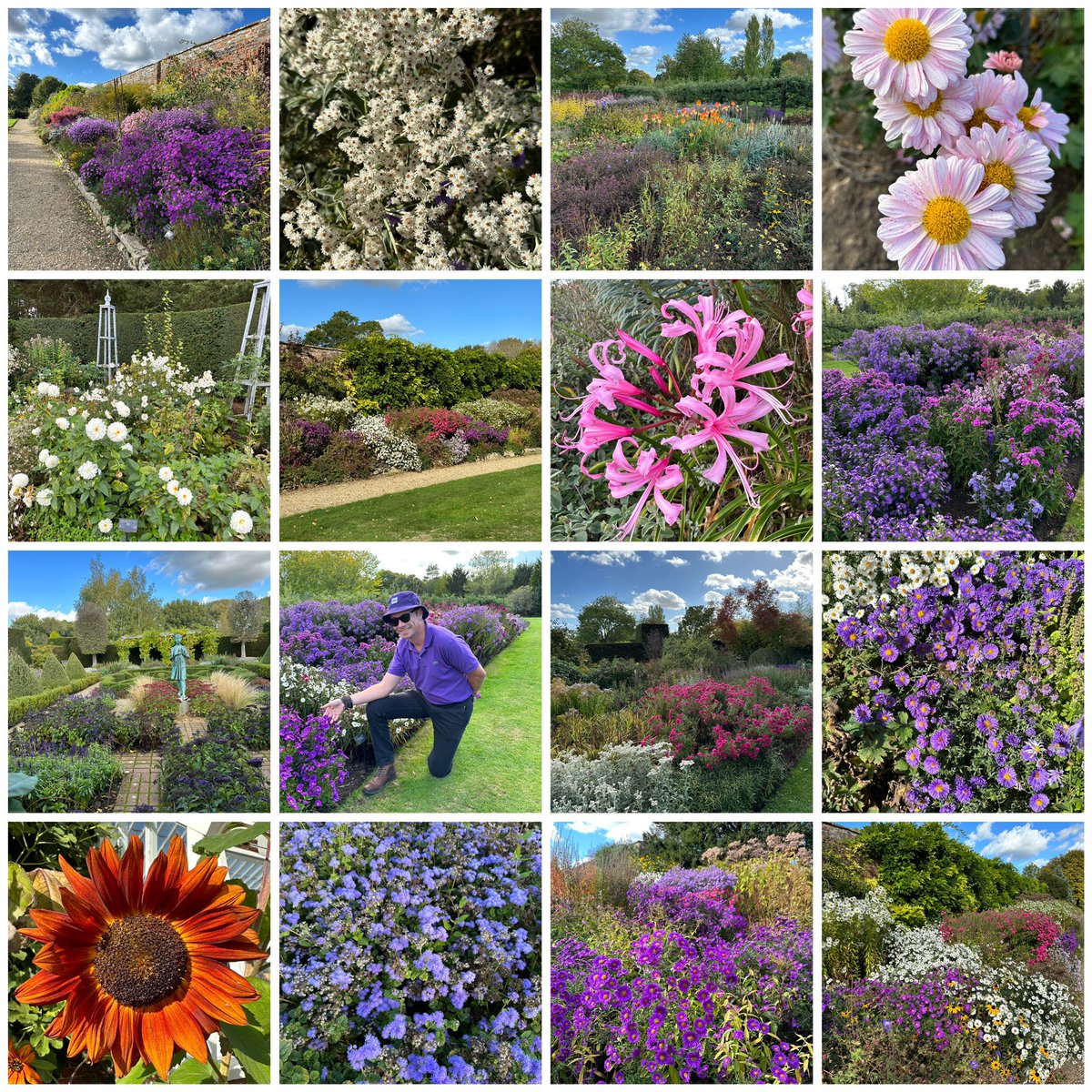 makinggardens's tweet photo. A few more from Waterperry, including a colour coordinated cameo 🌸#Flowers #Gardening #FlowerHunting https://t.co/oGE2kIBHyV
