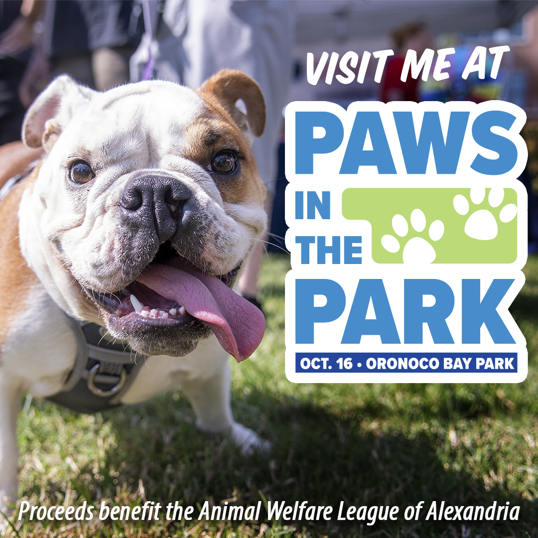 Dog_Daycare's tweet photo. It’s almost time for #PawsinthePark at Oronoco Bay Park on Oct. 16 from 11 a.m. to 4 p.m.! The day promises to be fun for the whole family, including pets. All proceeds benefit animals across the community through @AlexAnimals I hope you’ll stop by and see us! https://t.co/LVlI25DVCX