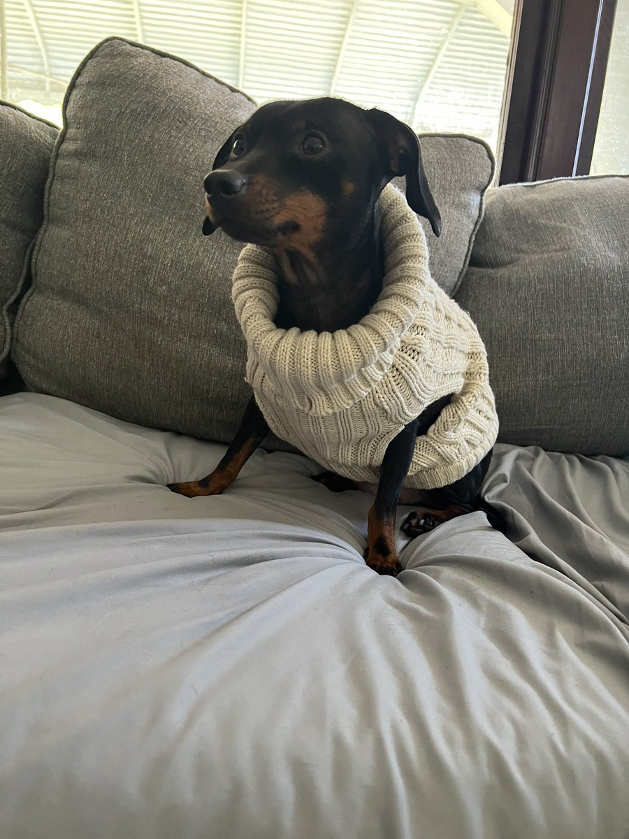 monnn11's tweet photo. Happy Chris Evans’ sweater season 💕 https://t.co/TZDF7STLa6