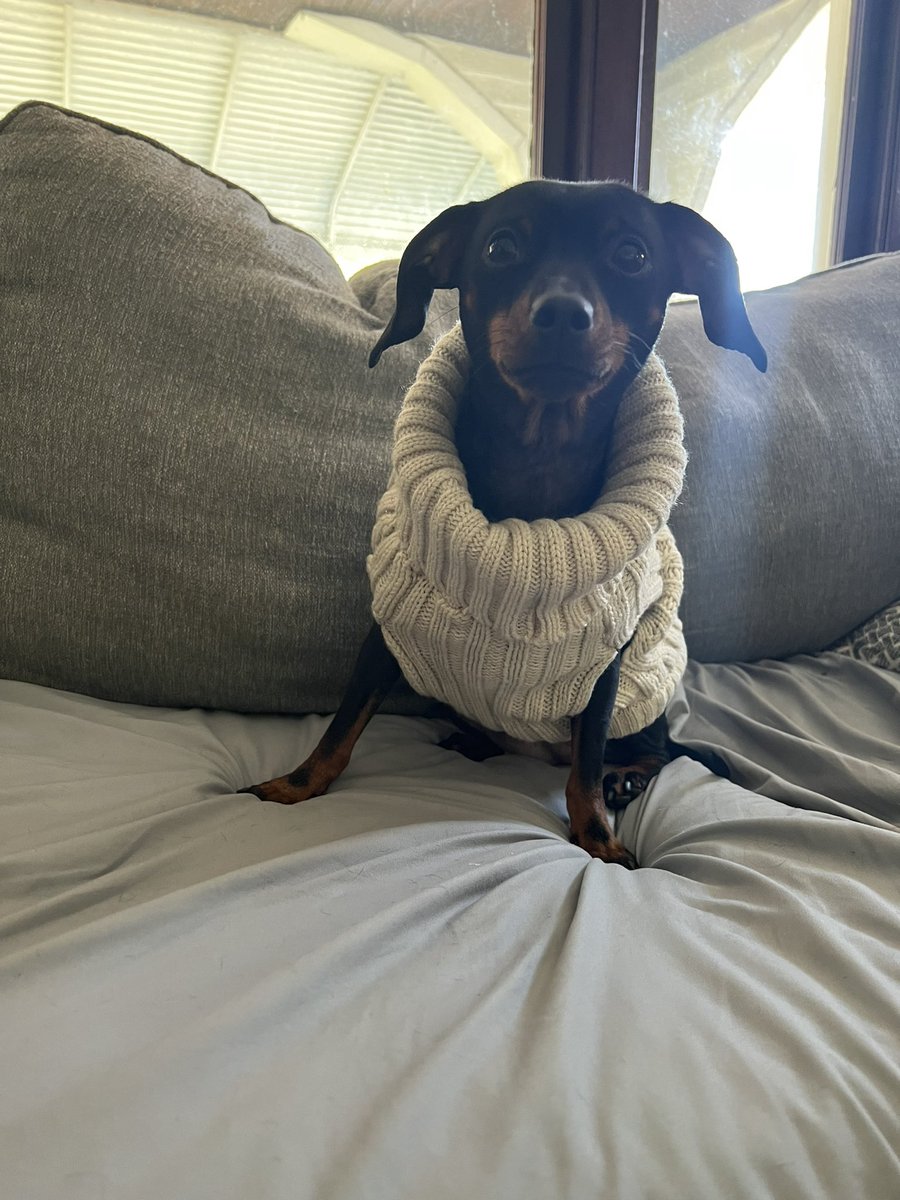 monnn11's tweet photo. Happy Chris Evans’ sweater season 💕 https://t.co/TZDF7STLa6