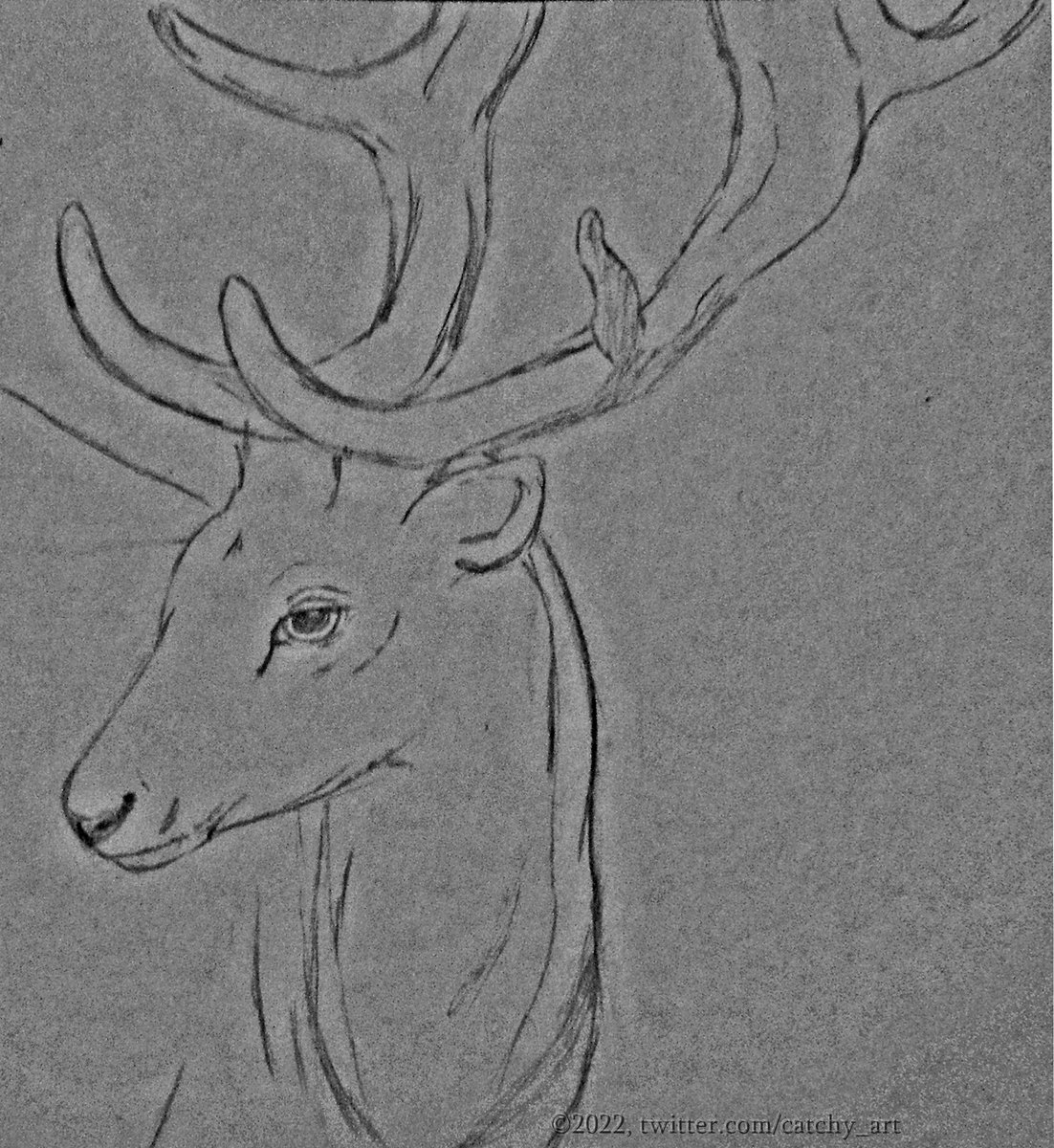 Catchy_Art's tweet photo. A #WIP form 2015 I'll probably never finish...🦌
#CatchyWIP https://t.co/689gPZFIYz