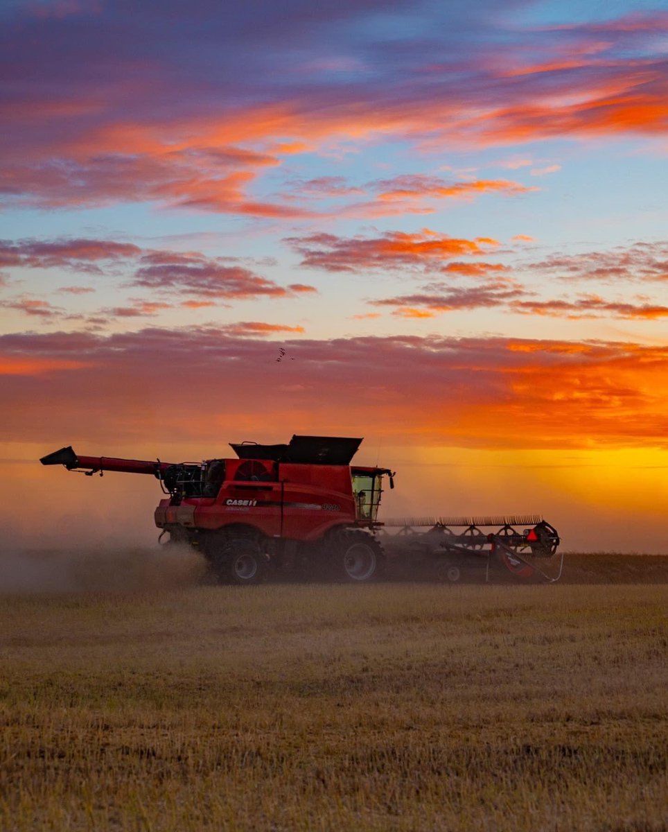 If you have food on your table today, thank a farmer. 

October is Agriculture Month, an important time to reflect on the vital role Saskatchewan plays in providing food to economies around the world. 

Thank you to all our producers for what you do not just today, but every day.
