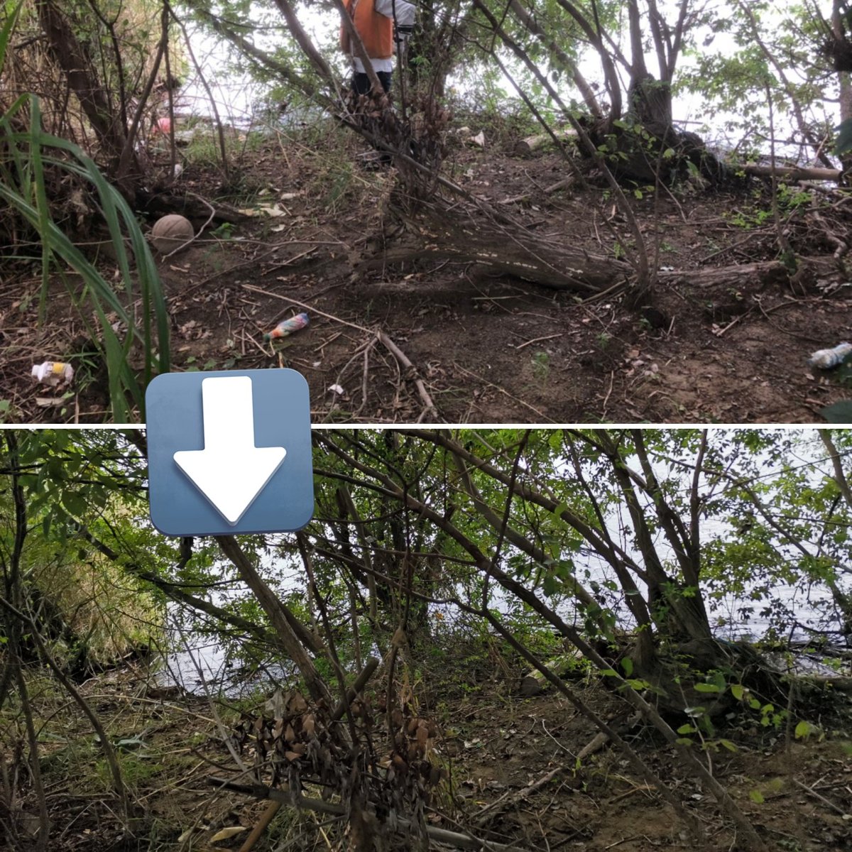 s_ecocivil's tweet photo. 本日は、淀川河川公園　点野（シメノ）にて河川整備・ごみ拾い・成果報告を行いました。
午後からは雨が降ってきましたが、みなさん頑張っていました😊👍

ゴミ拾いや広場の整備が終わったあとの達成感はたまりません😁👍

#摂南大学 https://t.co/PEFMd92zK9