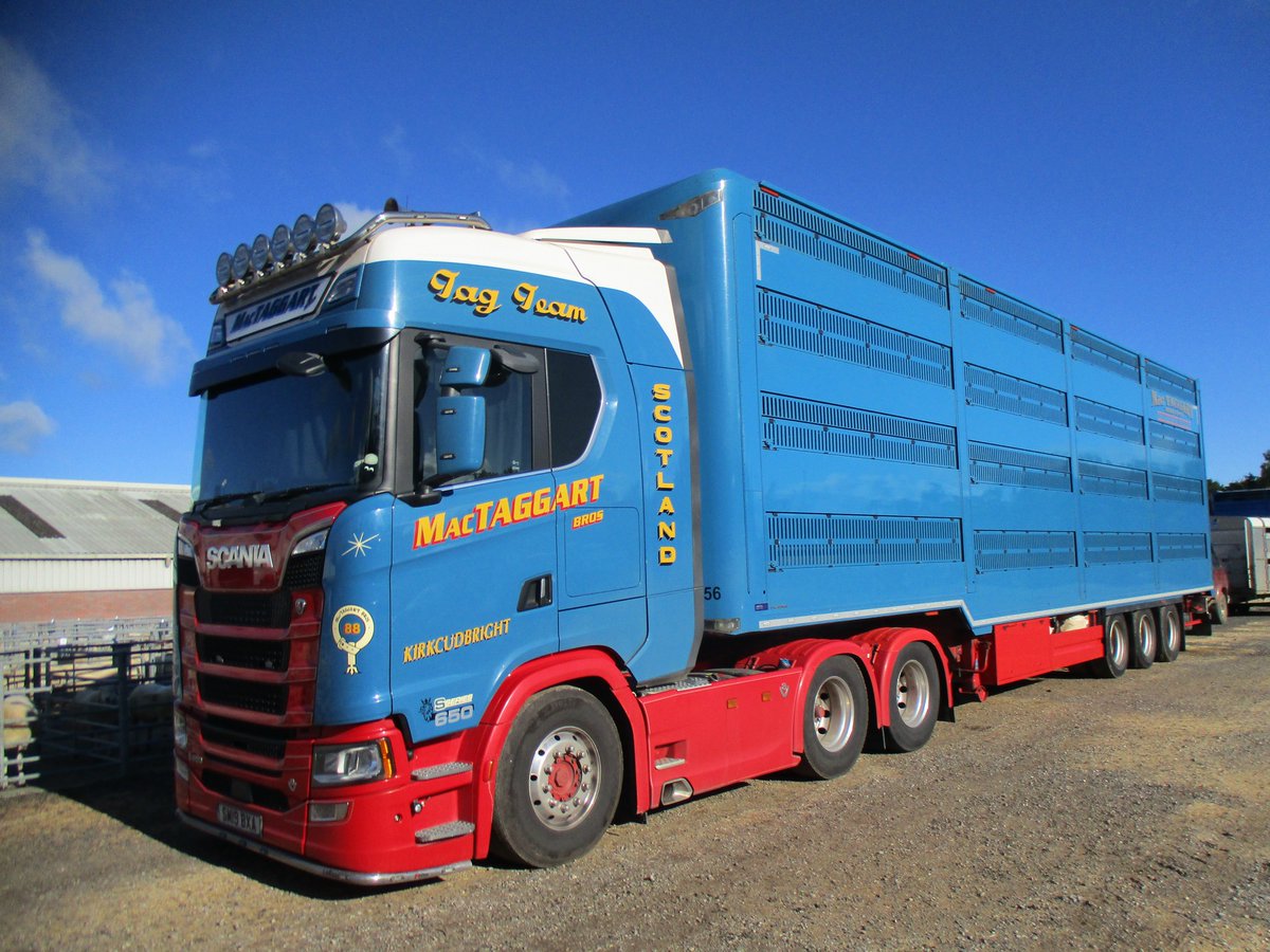 MacTaggart Bros' Platinum 4 Deck Livestock Transporter coupled to their <a href="/ScaniaUK/">Scania UK</a> S650 #V8 spotted at Penrith.

📷by Roy Mackereth

#houghtonparkhouse #livestock #livestockhaulage #livestocktransport #livestocktransportation #trucking #mactaggart
