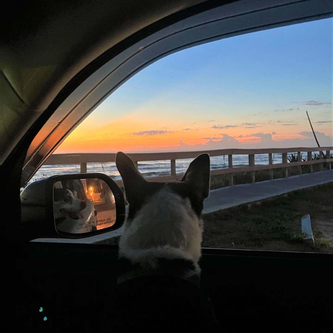 Visit Flagler tweet media