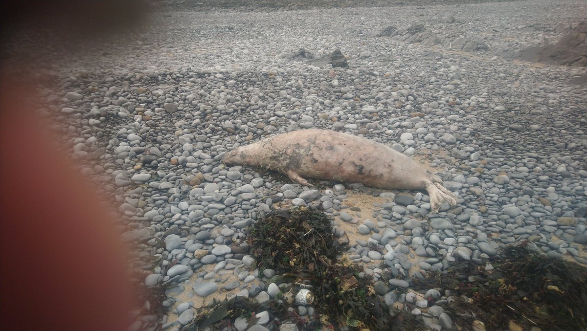 titch the roofer tweet media