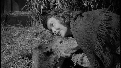 kreatable's tweet image. “JohnnyBelinda,” (1948) – about an innocent young deaf girl who was raped, and it was the first film where #rape was discussed, after #MotionPictureProductionCode was relaxed. A lover of movies, I will never watch it again. Truly traumatized me …