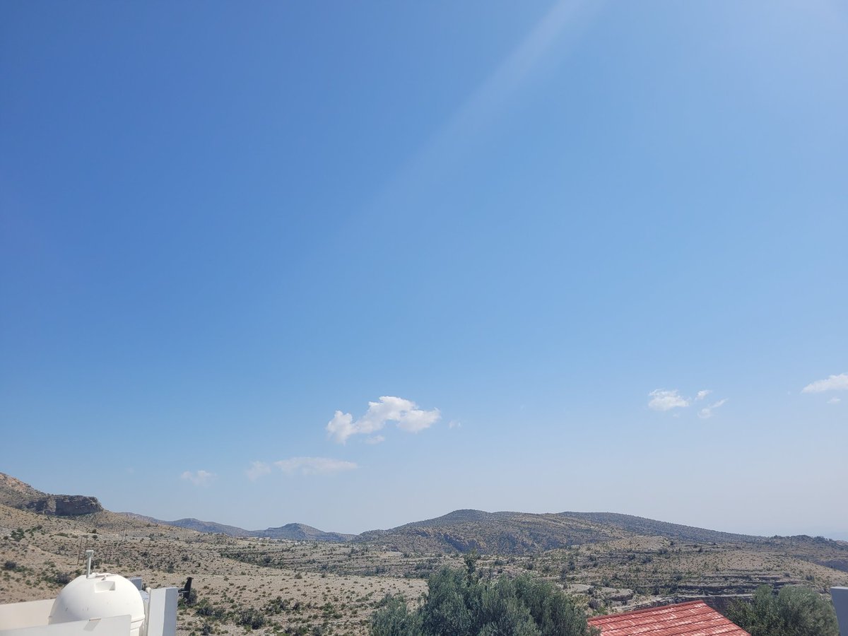 BSM Year 5 tweet media