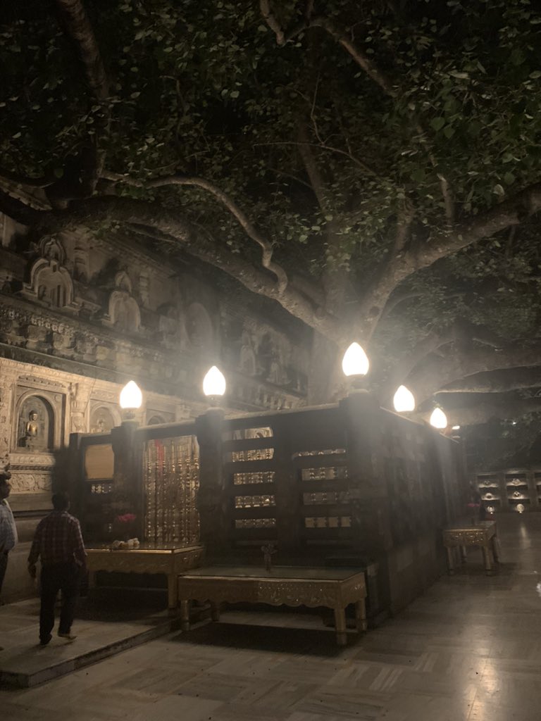 DrKumar_IAS's tweet photo. Sacred Bodhi Tree under which Buddha mediated and attained enlightenment. More than 2600 years ago Prince Gautama Buddha reached here in his quest to understand the meaning of life . After deep contemplation and meditation, he attained enlightenment. https://t.co/74y4FtEDbA
