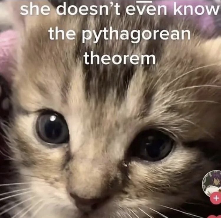 I’ll say it, I think Kiriko is best girl.