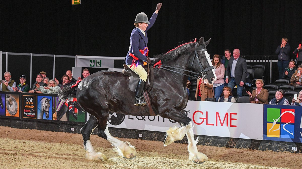 horseandhound's tweet photo. ‘Though she be but little, she is fierce’: history making Shire mare wins HOYS heavy horse crown https://t.co/vU2ZynK9iH https://t.co/wX1rLSNIaX