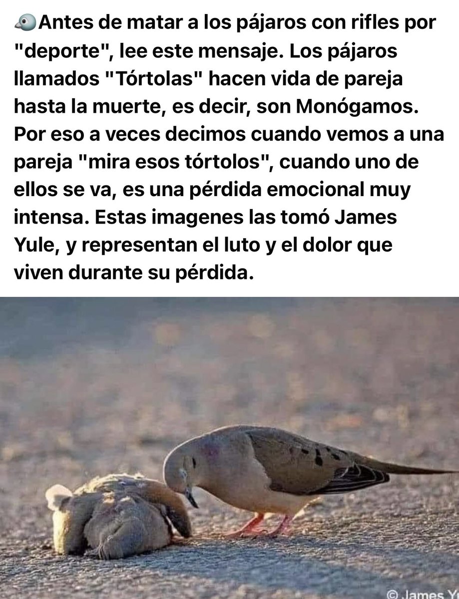 beadifusiones's tweet image. 😢😢😢😢😢