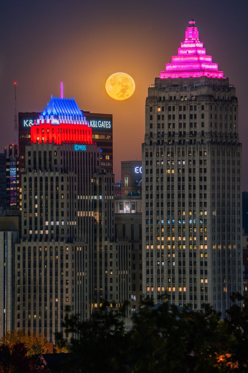 DaveDiCello tweet picture