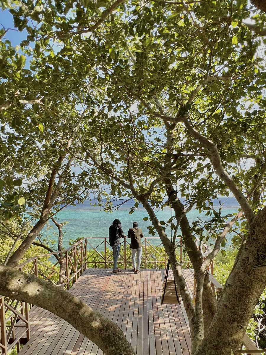 Encirled by lush jungle, our nikamathi at kanditheemu is inspired by its tranquil location inviting guests to rejuvenate, restore &amp; relax.🌴

<a href="/visitmaldives/">Visit Maldives</a> <a href="/maldivesbiz/">VisitMaldives Biz</a> <a href="/MoTmv/">Ministry of Tourism and Environment</a> <a href="/islandwisemv/">Islandwise</a> <a href="/beachwalkmv/">Beachwalk Kanditheemu</a> 
#maldives #localisland #kanditheemu