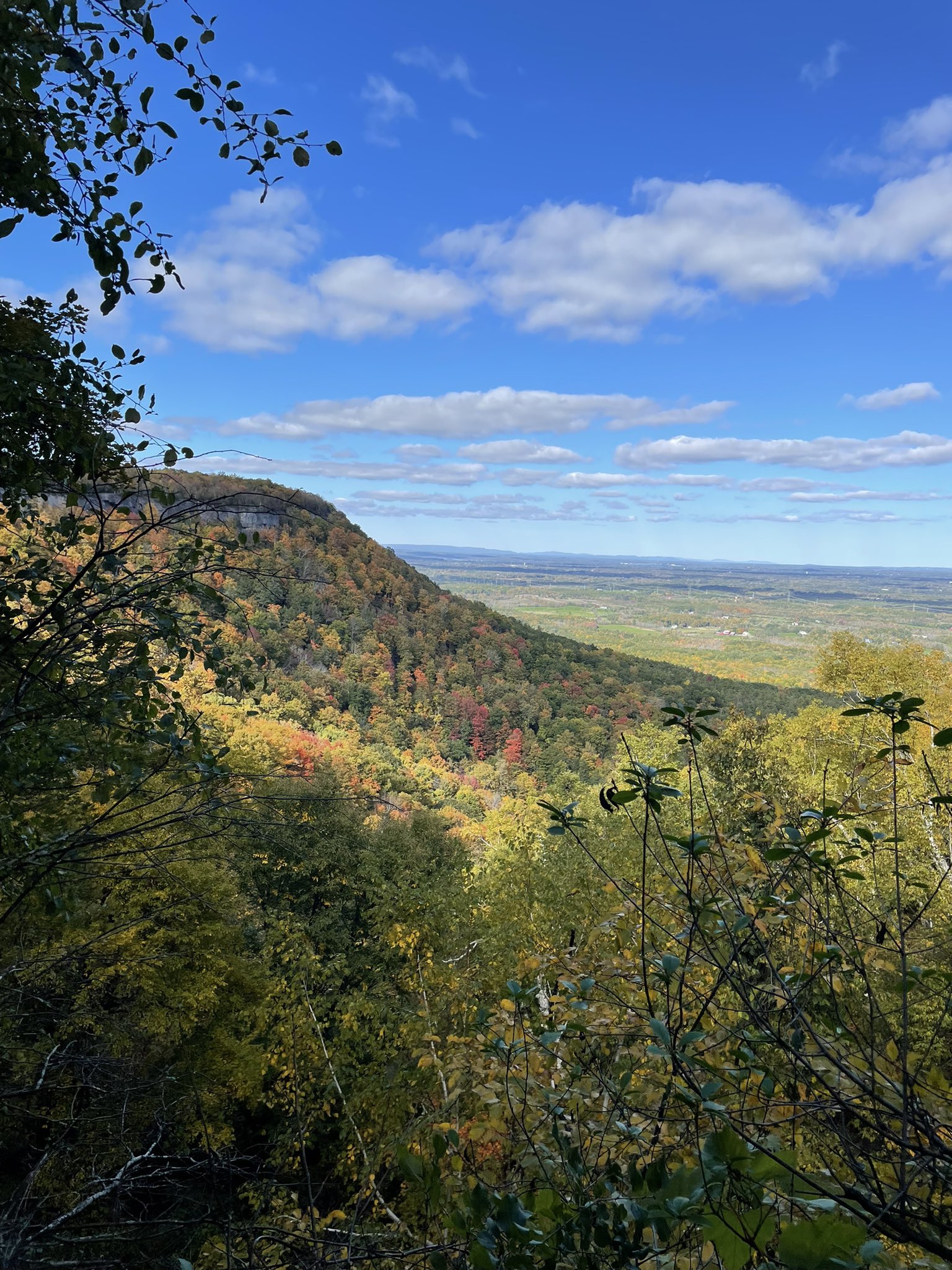Allyson Dahlin📻👾 CAKE EATER On Sale Now (ally_dahlin) / Twitter