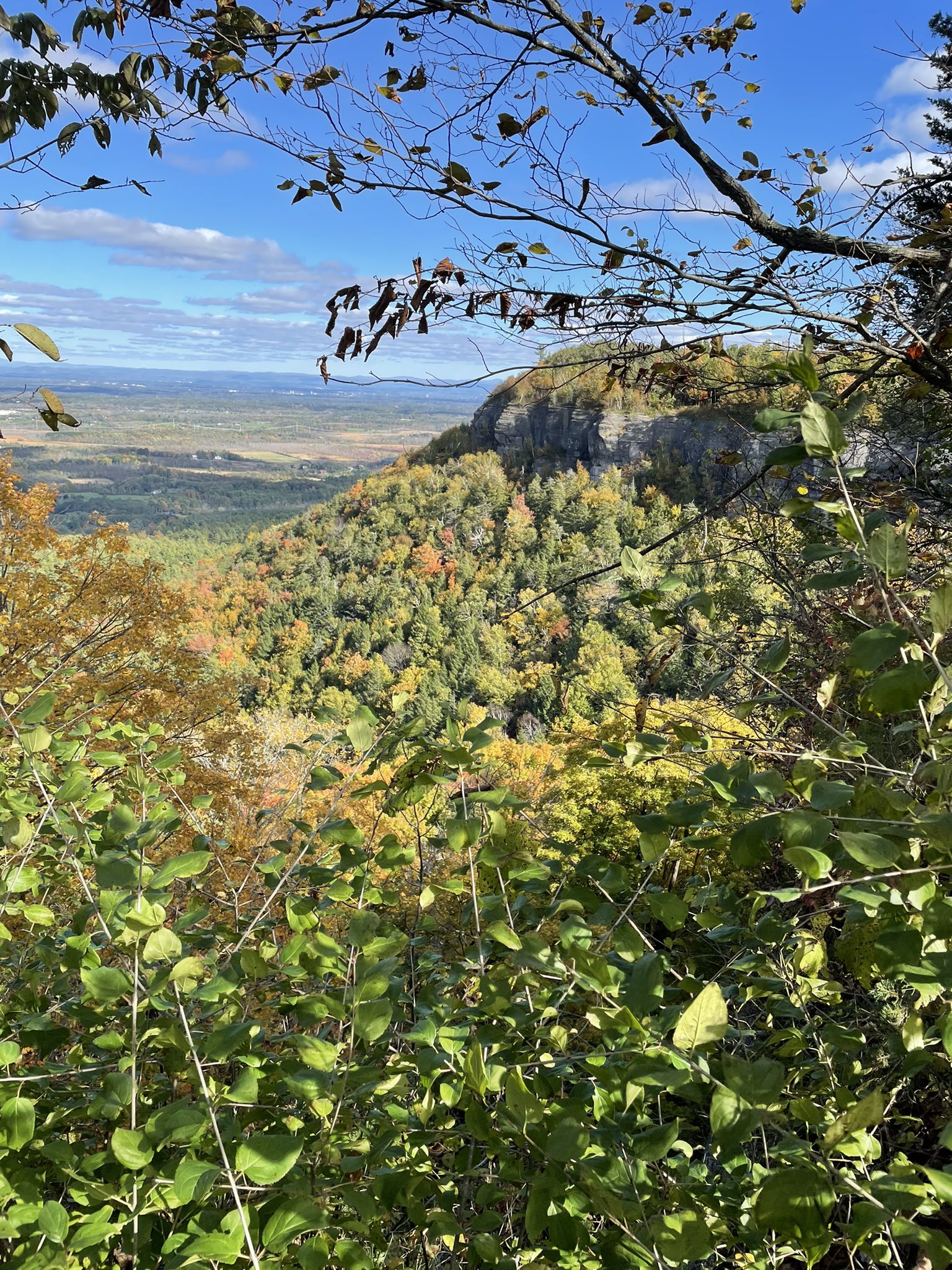 Allyson Dahlin📻👾 CAKE EATER On Sale Now (ally_dahlin) / Twitter