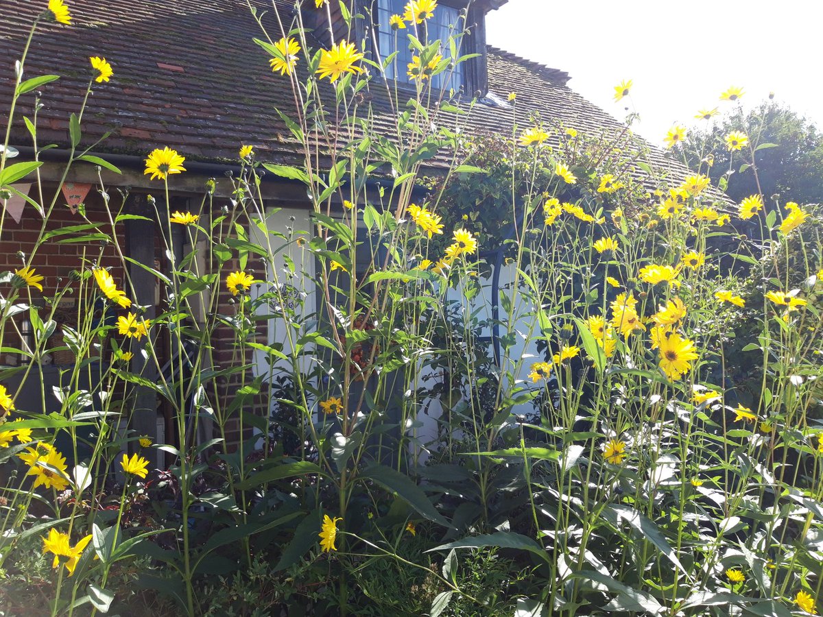 Autumn garden at strawberrycottage.co.uk