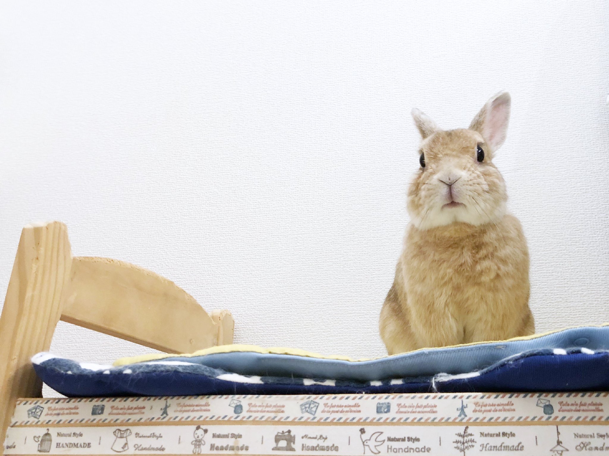 エッグタワーケーキ&タルトひよこうさぎ(耳ピンク) エッグタワーケーキ&タルトひよこうさぎ(耳ピンク)