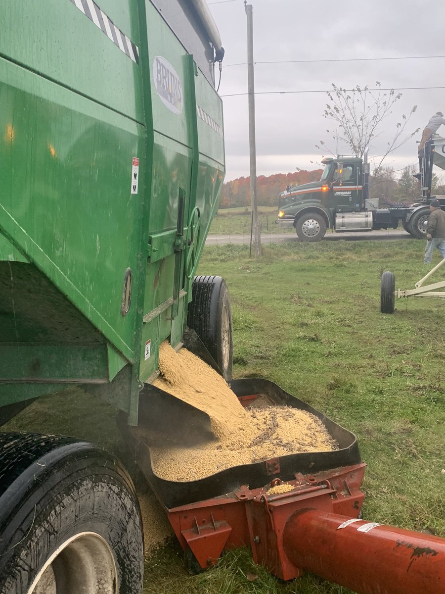 Kurtis McRae tweet media