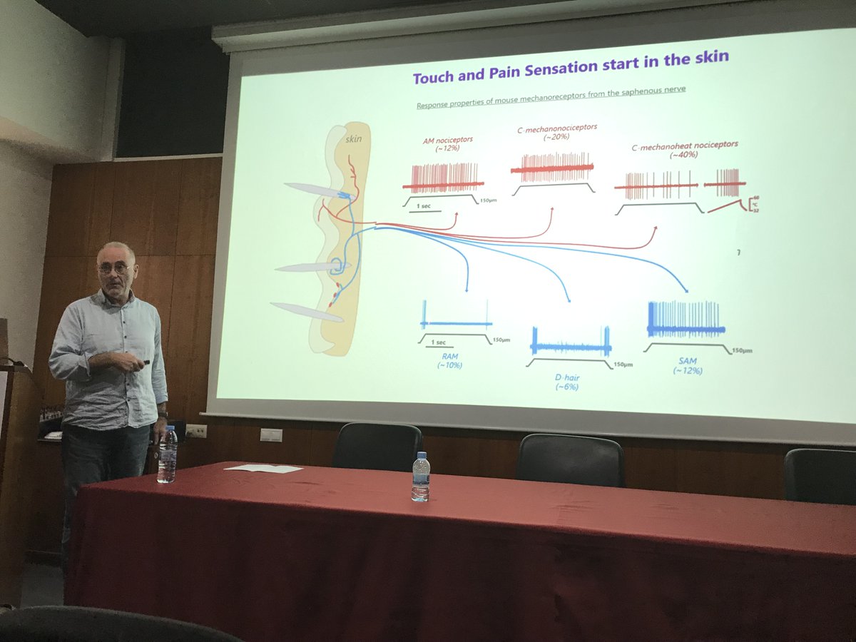 neuroviana's tweet photo. Last week, an exceptional group of scientists presented their work at @NeuroAlc on #pain and #inflammation Here is the group photo (speakers and organizers). @GaryRLewin1 and @pablodezo did not make it to the group pic do they have their own. Thank you all for coming!! https://t.co/HuQ765QSiW
