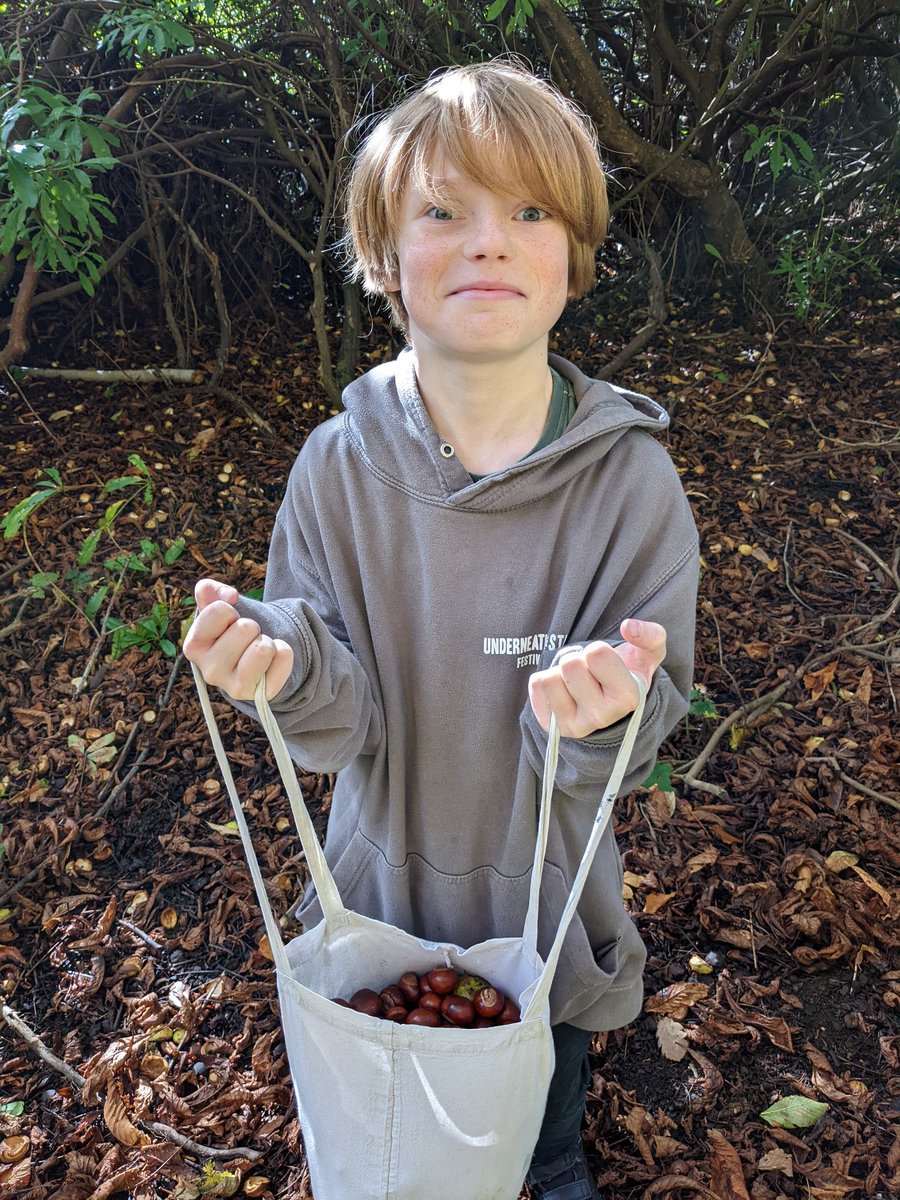 Celeste (@eclecticceleste) on Twitter photo Seth and I went collecting conkers yesterday. Half an hour and we have quite a haul... Now we need conker related crafts...or people to share them with.
#conkers #conkercrafts #morehallreservoir <a href="/wild_bank/">The Wild Bank</a> Seth and I went collecting conkers yesterday. Half an hour and we have quite a haul... Now we need conker related crafts...or people to share them with.
#conkers #conkercrafts #morehallreservoir <a href="/wild_bank/">The Wild Bank</a>