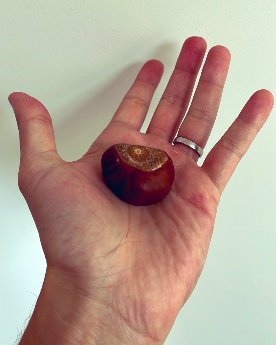 Ben Lovell tweet media