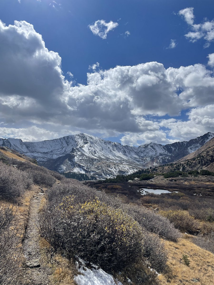 laezyi / shady guy {GODS} tweet media