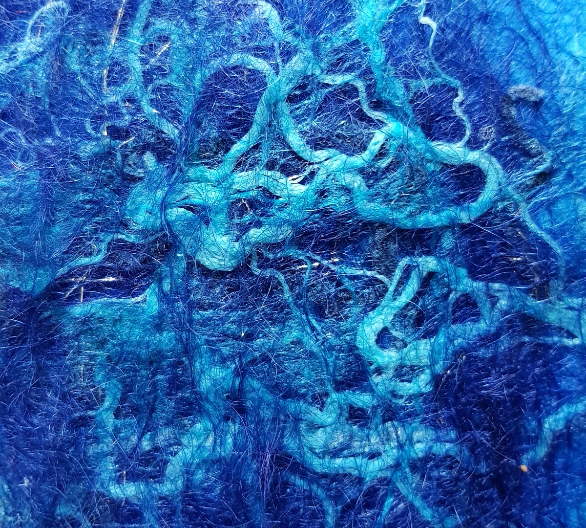 Jane Wood tweet media