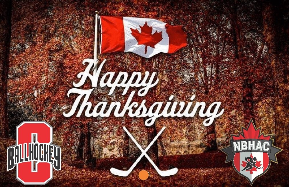 Canada Ball Hockey tweet media