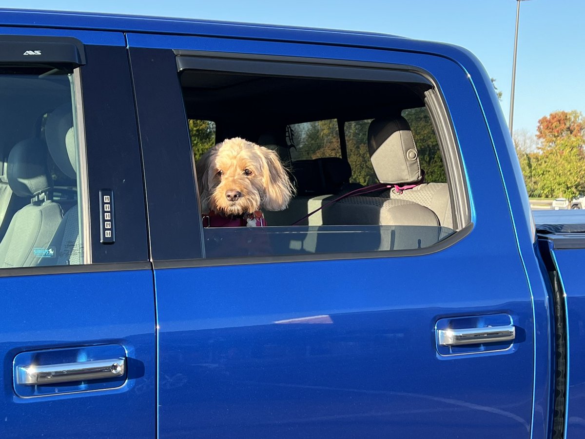 Sandy_Mackey's tweet photo. Headed for our morning walk on a beautiful ☀️ day... #SundayMorningOverEasy https://t.co/pBUTrJCaBm