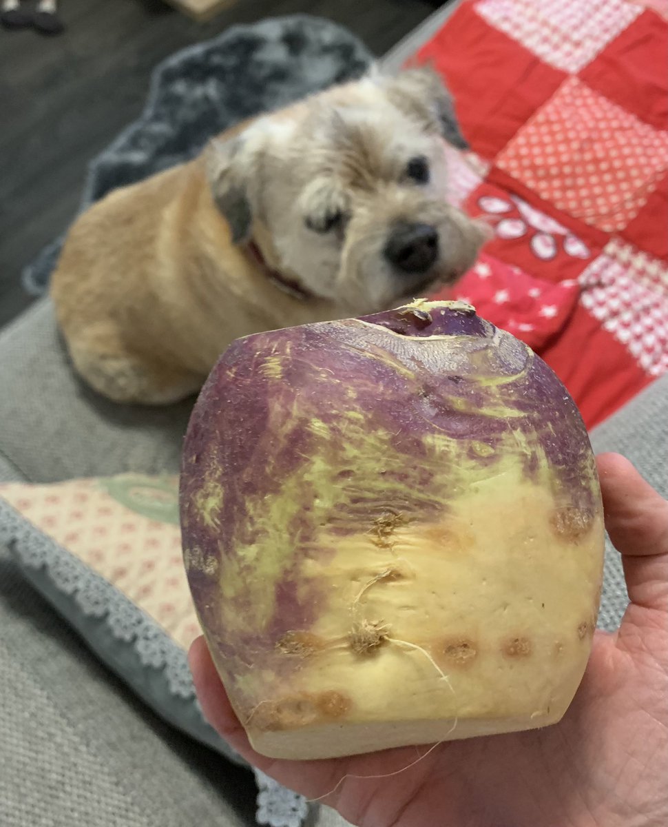 Hamish’s Lynne tweet media