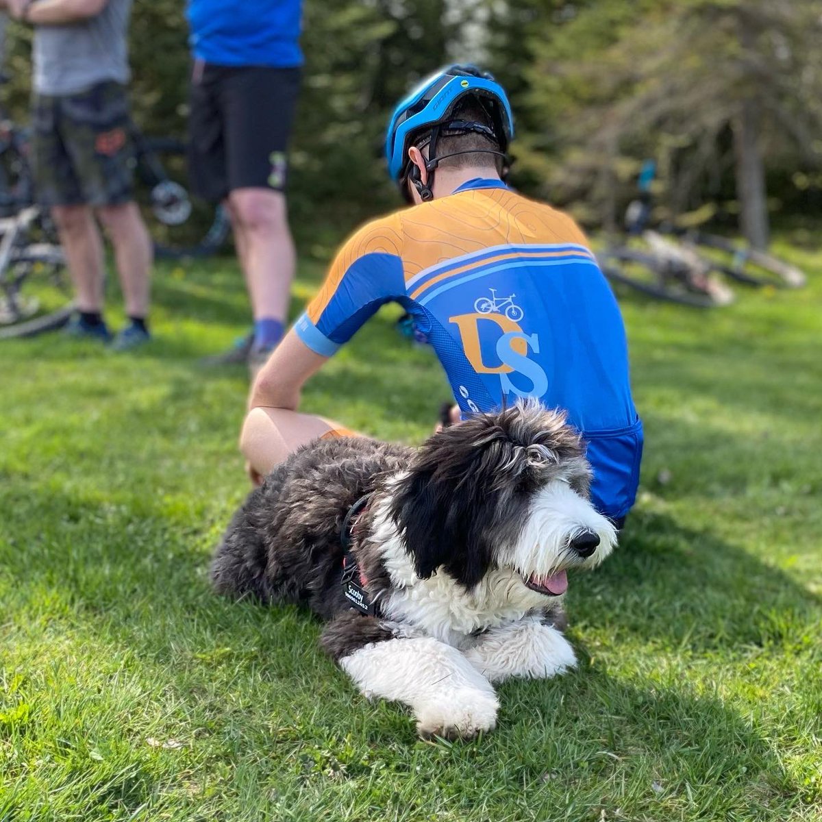 Directeur Sportif tweet media