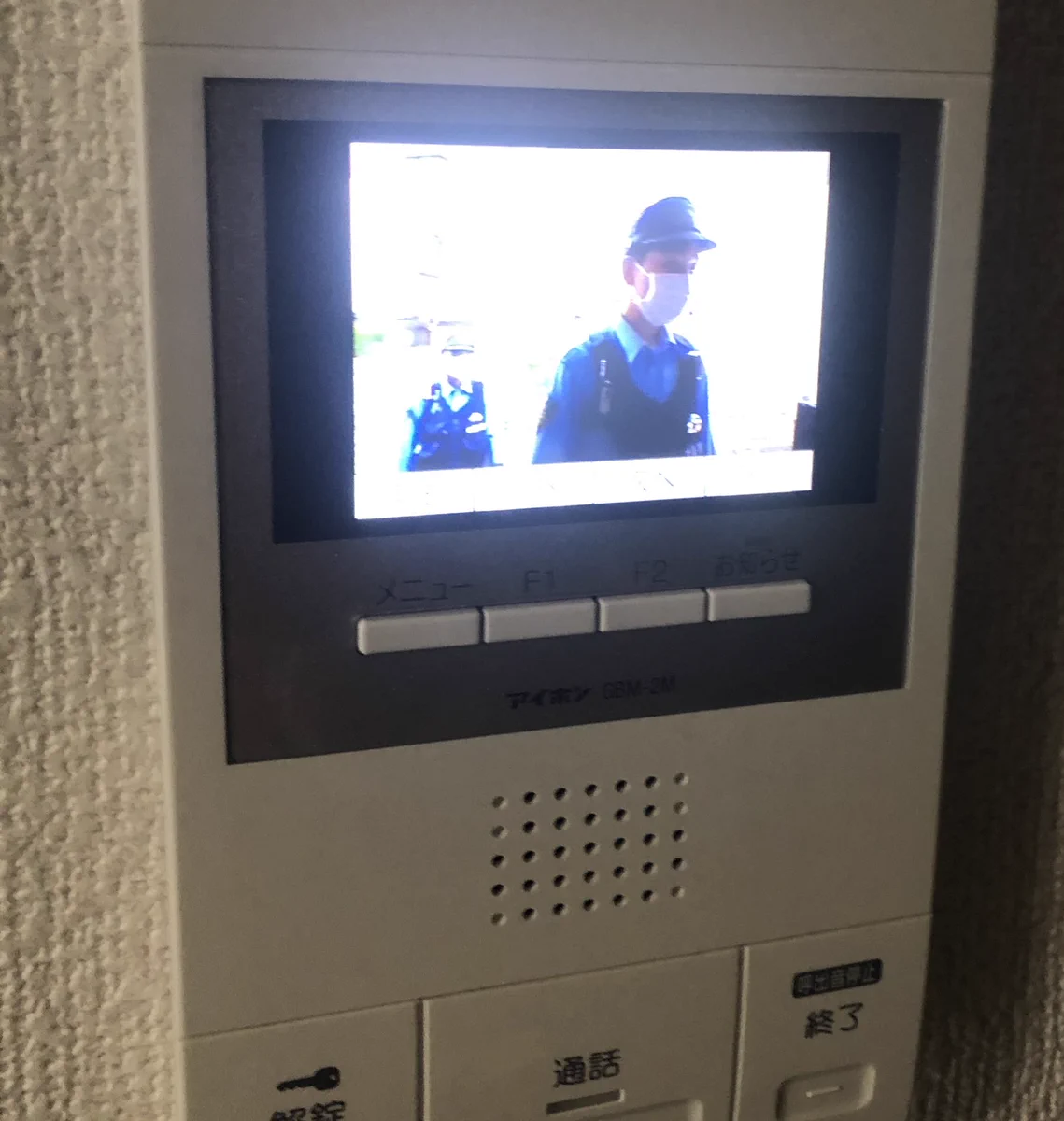 これもハロウィンの仮装！？招かれざるお客さまはまかさのあの人たちだった…。