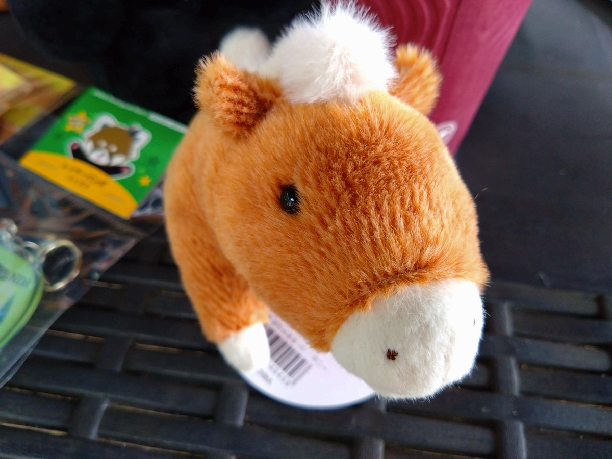 loverizadonn191's tweet photo. #千葉市動物公園
#動物園
#ZOOSHOP
#レッサーパンダ
#ハシビロコウ
#馬
★今回の獲得品★
その2。
レッサーパンダのアクキー、レッサーパンダとハシビロコウの缶バッチ、馬のぬいぐるみ♥ https://t.co/JuWCxfVAMG