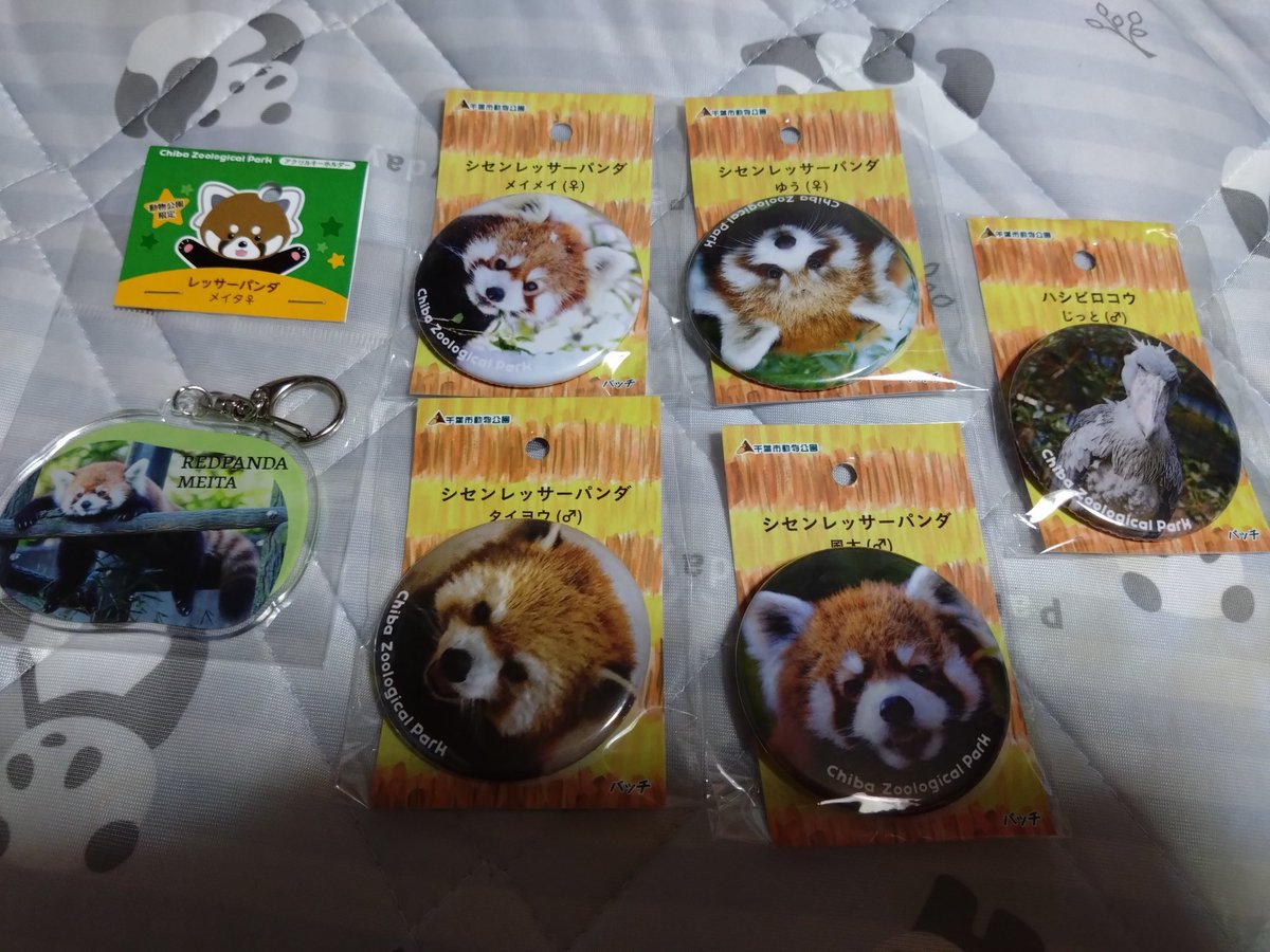 loverizadonn191's tweet photo. #千葉市動物公園
#動物園
#ZOOSHOP
#レッサーパンダ
#ハシビロコウ
#馬
★今回の獲得品★
その2。
レッサーパンダのアクキー、レッサーパンダとハシビロコウの缶バッチ、馬のぬいぐるみ♥ https://t.co/JuWCxfVAMG