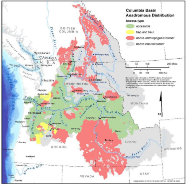 ColumbiaRKeeper's tweet photo. SUNDAY READ: Feds release definitive scientific report finding that Lower Snake River dam removal is essential to recovering healthy and harvestable populations of salmon. Read more: https://t.co/qZ8ZPYcoFu
#savingsalmon #savesalmon #stopextinction https://t.co/b91urfM4fR