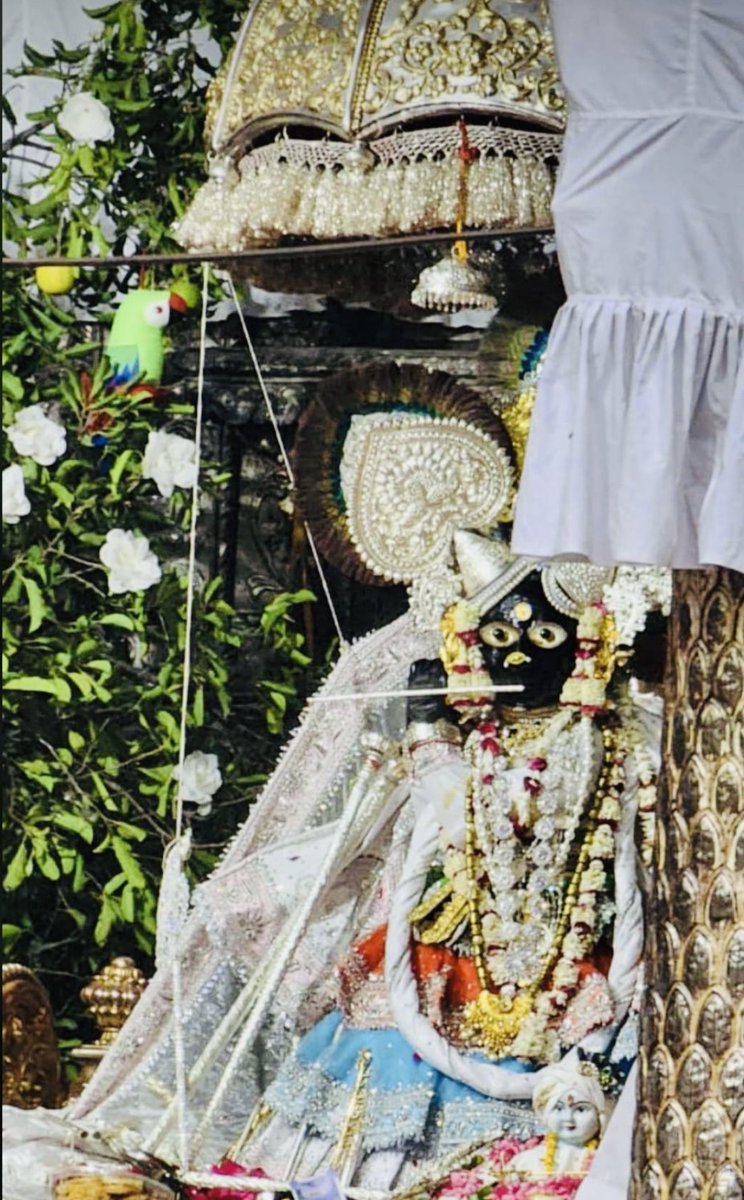devinehaji's tweet photo. शरद चांदनी मुकुट धरावे मुरली धर के दर्शन पावै 🌸

श्री बिहारीजी महाराज के शरद पूर्णिमा उत्सव की मंगल बधाई🌿🌕✨ https://t.co/576RuzC7f3