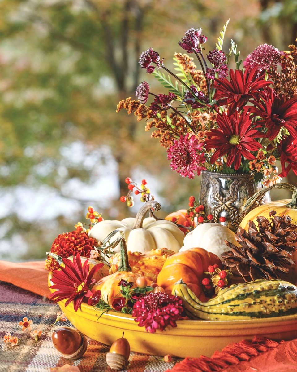 SouthernLadyMag's tweet photo. βLife starts all over again when it gets crisp in the fall.β βF. Scott Fitzgerald, The Great Gatsby
#southernladymag #fscottfitzgerald #thegreatgatsby #autumnquotes #autumninthesouth #fallquotes #fallinthesouth #flowers #pumpkins #fallflowers #floralarrangements #gourds https://t.co/YKNQY4Px6s